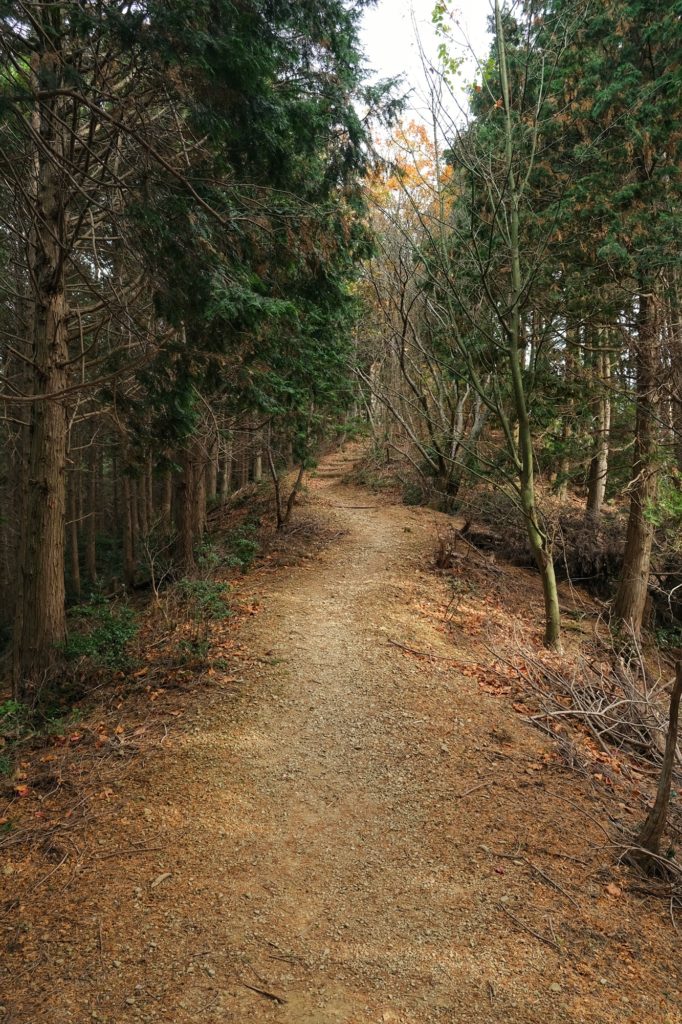 Le chemin qui monte dans les montagnes du parc de Minoh