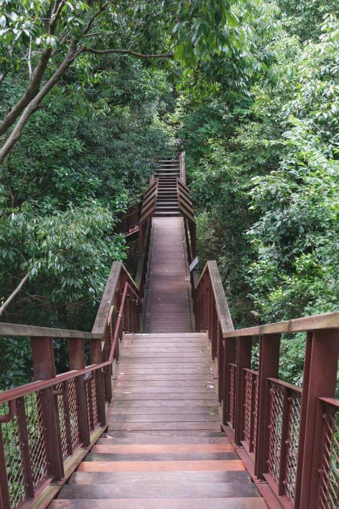Une passerelle passant sous les arbres dans le parc Expo '70 d'Osaka