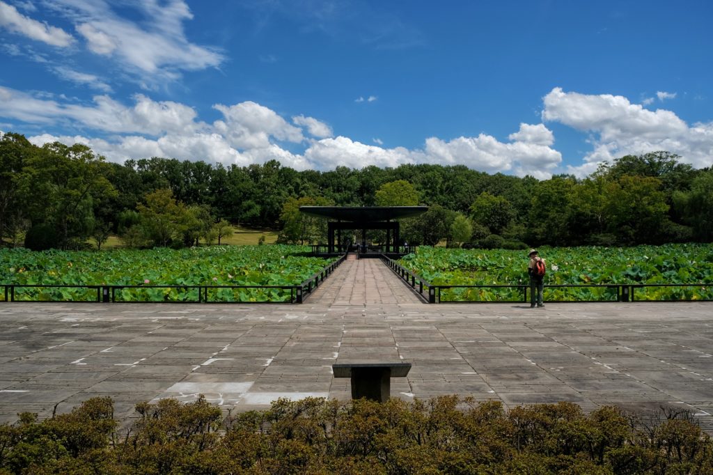 L'étang Hasuike et ses nénuphars dans la jardin japonais du parc Expo '70 d'Osaka