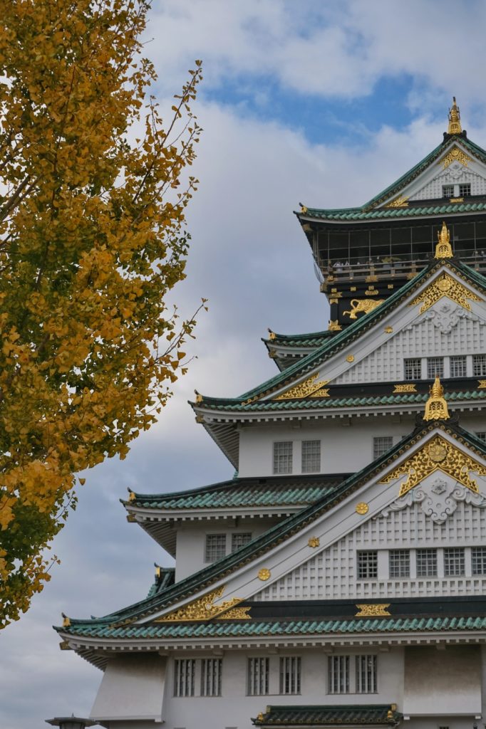 Le château d'Osaka et un ginkgo jaune