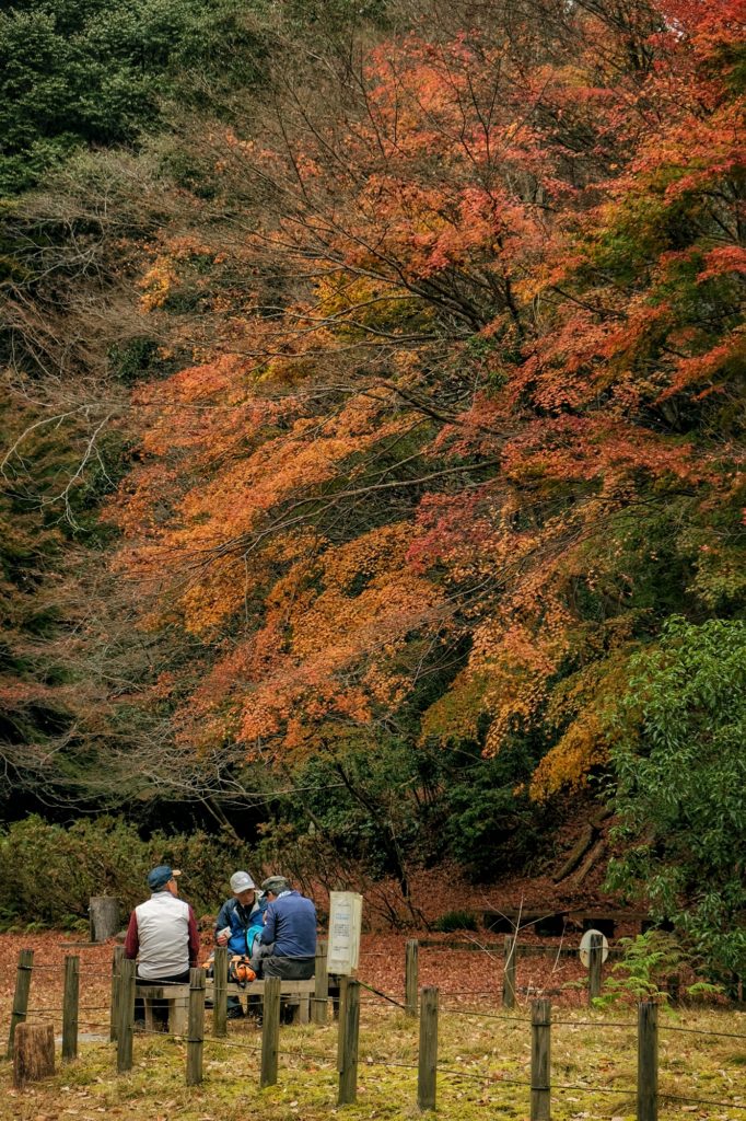 Des randonneurs en pause dans le square Momiji dans le parc de Minoo