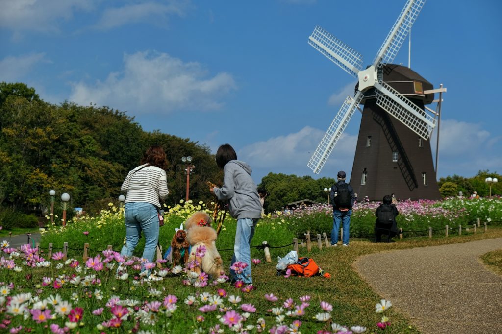 Séance photos avec les chiens devant le moulin du parc Tsurumi Ryokuchi d'Osaka