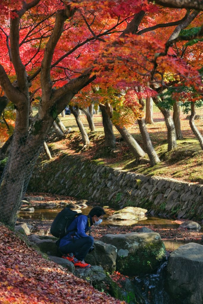 Un photographe le long d'un ruisseau en automne à Nara
