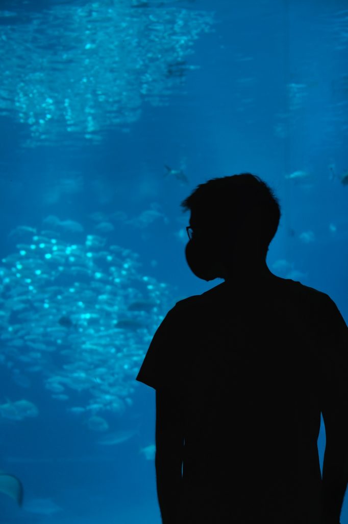 Vincent devant le bassin central de l'aquarium d'Osaka